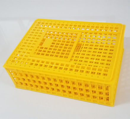 PE 28.5cm Height 14 Chicken 50kgs Plastic Poultry Crate