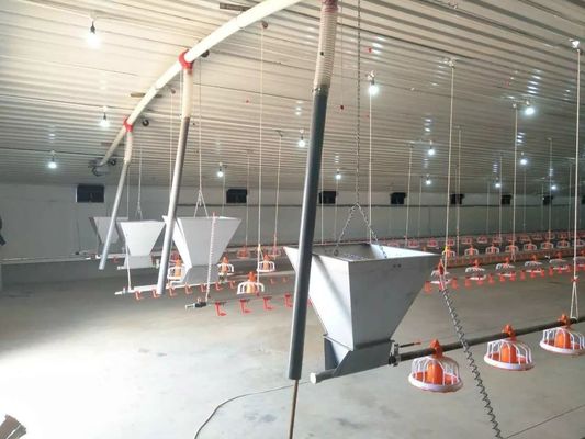Catena Pan Feeding System automatico dell'azienda agricola di pollo 1 fase