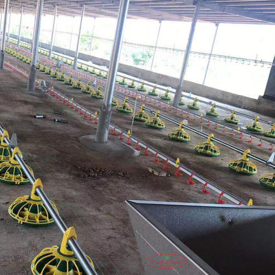 Pollo che beve l'attrezzatura automatica di azienda agricola di Pan Feeding System For Poultry